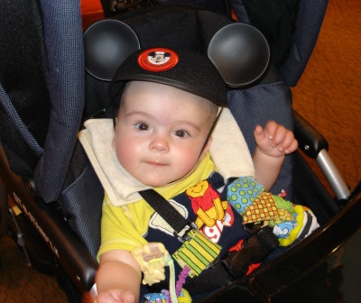 Disney World Mickey Mouse Ears
