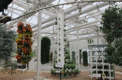 Disney World Epcot Living With The Land