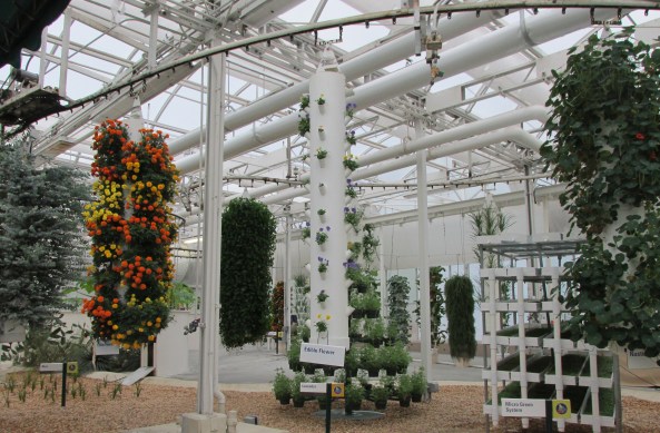 Disney World Epcot Living With The Land