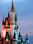Cinderella Castle At Night
