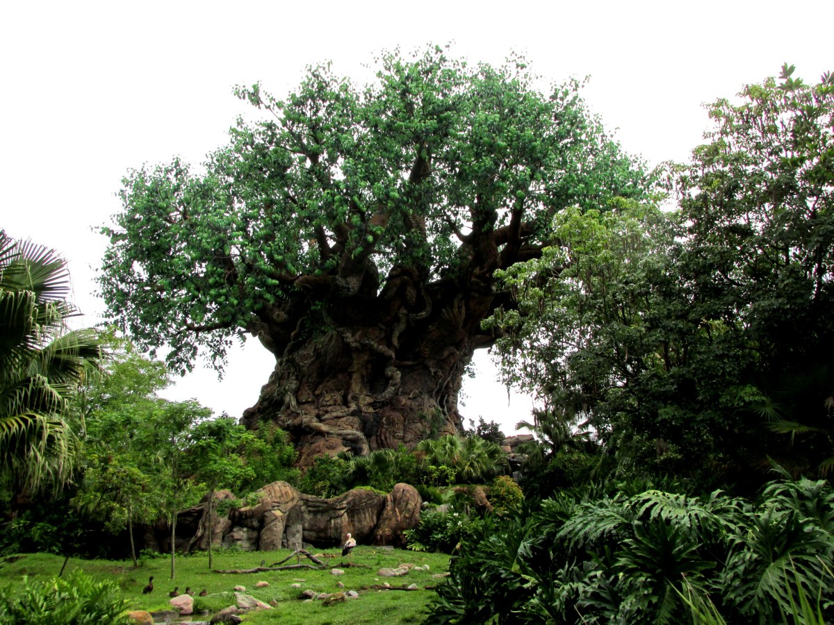 Disney's Animal Kingdom Tree of Life