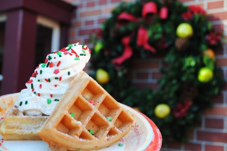 Waffle Holiday Sundae