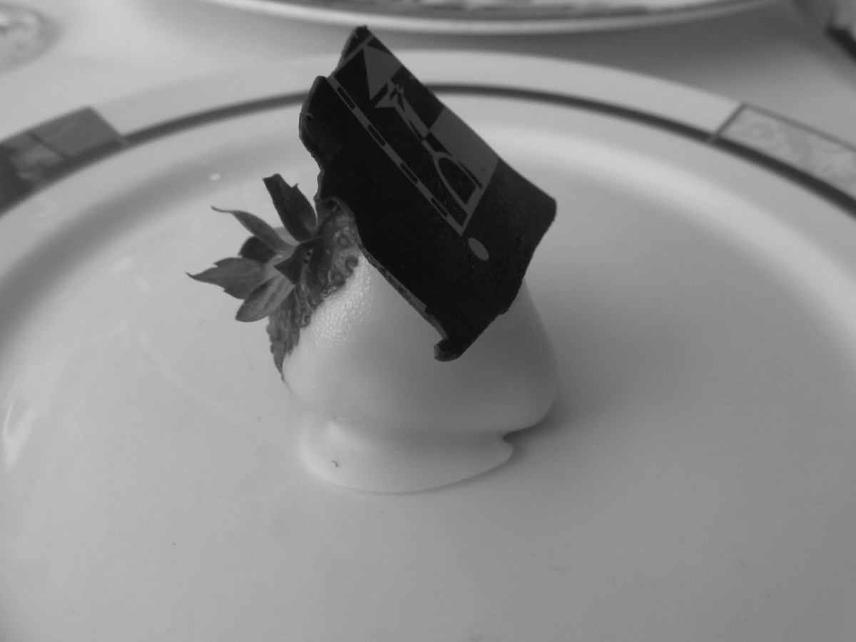 Disney Alaska Cruise