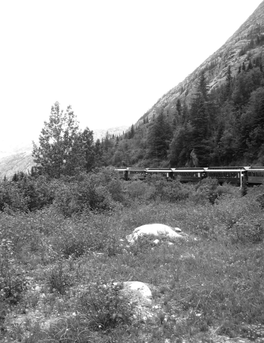 Disney Alaska Cruise