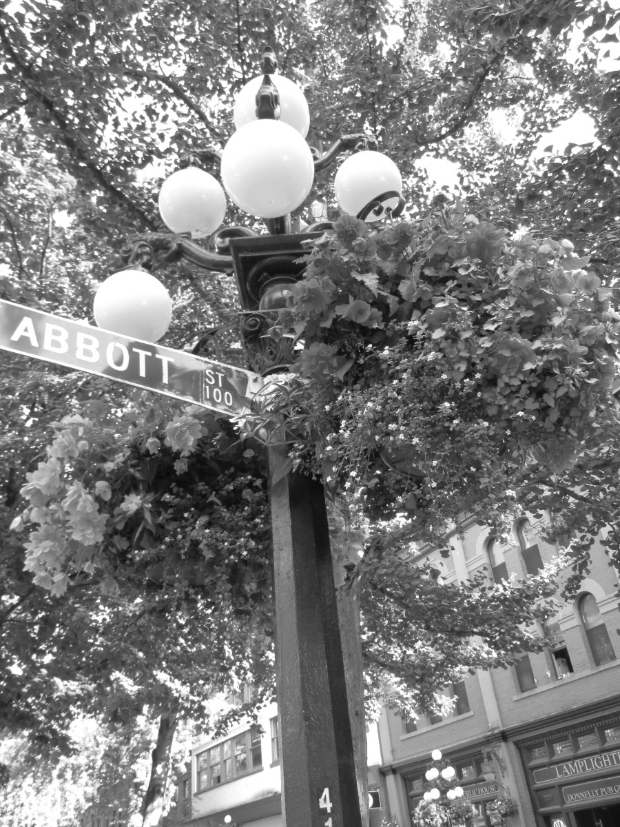 Disney Alaska Cruise