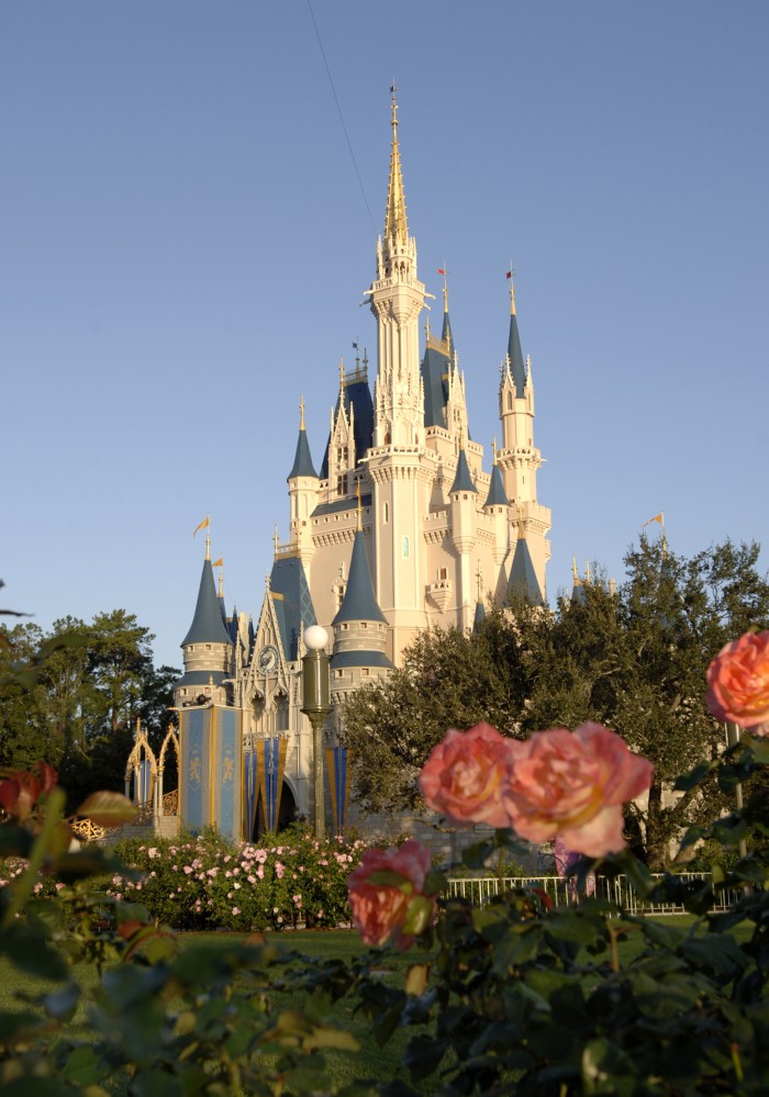Cinderella Castle