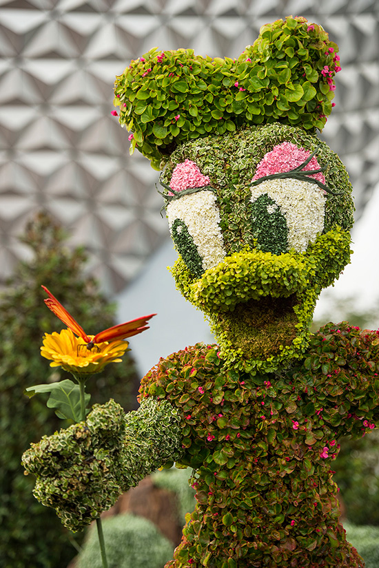 Epcot Flower & Garden Festival