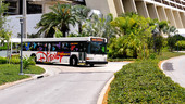Disney Bus