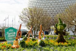 Taste of EPCOT International Flower &amp; Garden Festival